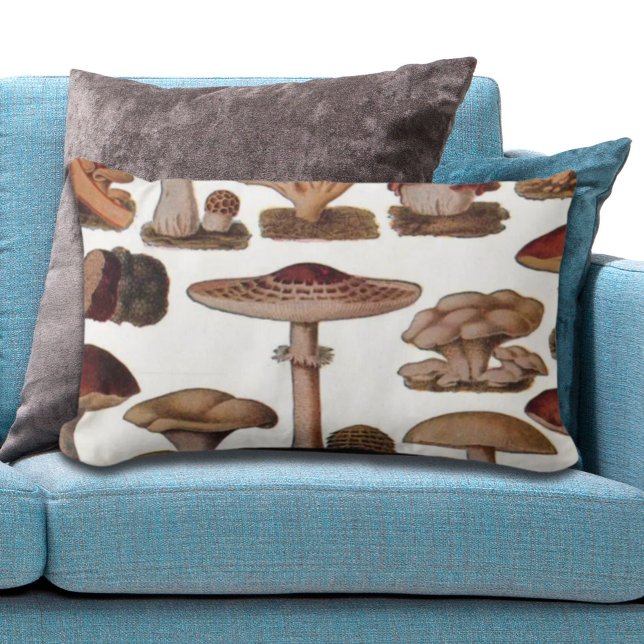 Hipster - Botanischer Ausdruck - Vintage Pilze Lendenkissen (hipster french botanical print vintage mushrooms lumbar pillow)