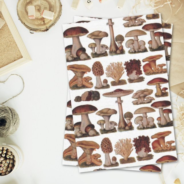 Hipster - Botanischer Ausdruck - Vintage Pilze Seidenpapier (hipster french botanical print vintage mushrooms tissue paper)
