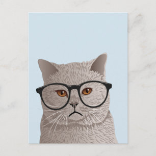 Hipster British Shorthair Cat Postkarte