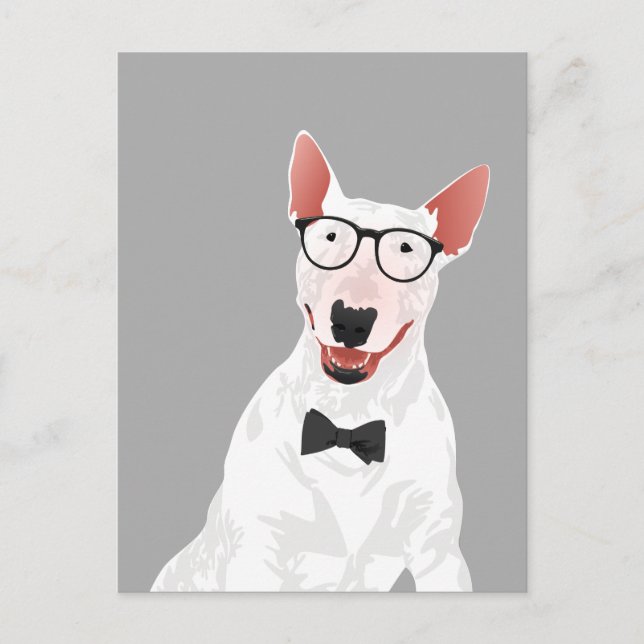 Hipster English Bull Terrier Dog Postcard Postkarte (Vorderseite)