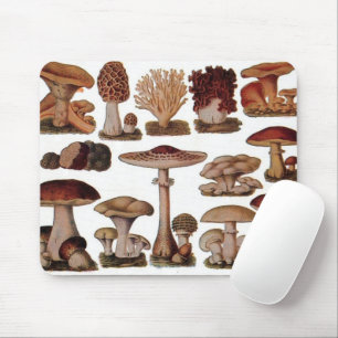 Hipster-französischer botanischer Druck vintage Pi Mousepad