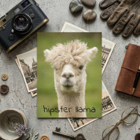 Hipster Lama Funny Hairdo