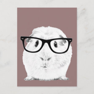 Hipster Pigster Postkarte