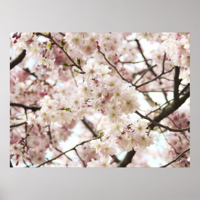 Hipster Poster (Vorne)