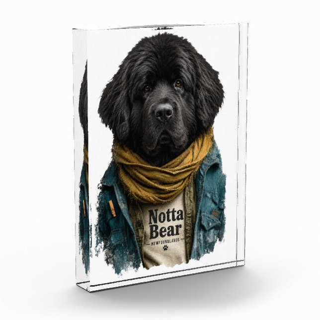 Hipster Urban Newf – Notta Bear Style Fotoblock (Links)
