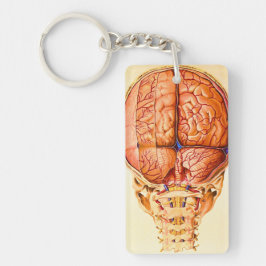 Hirnbasis und Meninges Lithograph Schlüsselanhänger