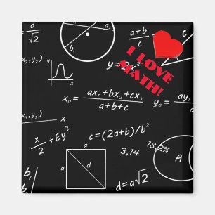 Hirnmathematik Magnet