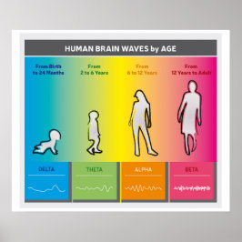 Hirnwellen nach Altersdiagramm Regenbogen Poster