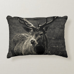 HIRSCH 12 PUNKT BOCK DEKOKISSEN