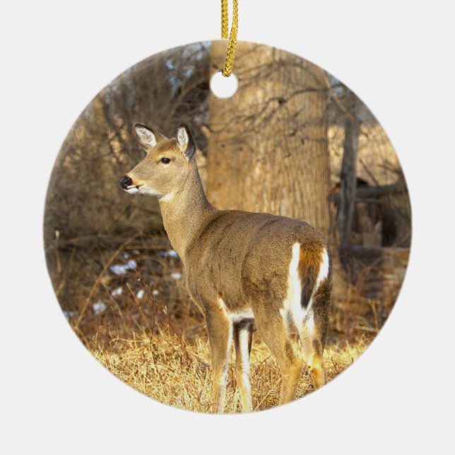 Hirsch-Foto-Ornament  Keramik Ornament (Vorne)