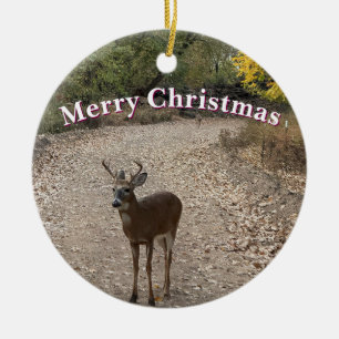 Hirsch-Foto-Ornament Keramik Ornament