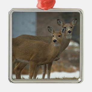 Hirsch-Foto-Ornament Ornament Aus Metall