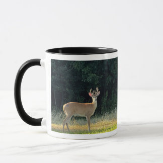 Hirsch-Foto-Tasse Tasse