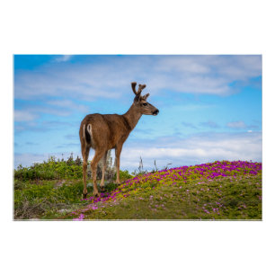 Hirsch Glänzendes Poster Küstenszene mit Wildblu