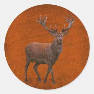 Hirsch im orangefarbenen Vintage-Naturlook Runder Aufkleber