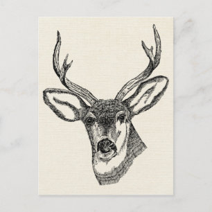 Hirsch im Vintage-Stil Postkarte