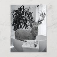 Hirsch in der Badewanne Schwarz-Weiß-Badezimmer-Ku