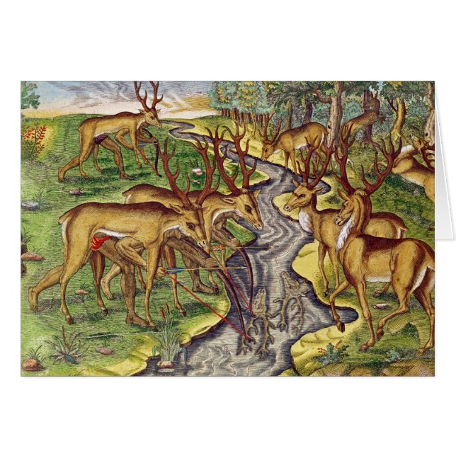 Hirsch-Jagd, von 'kurzem Narratio (Vorderseite (Horizontal))
