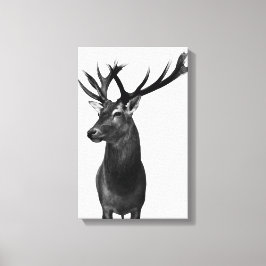 Hirsch Leinwanddruck