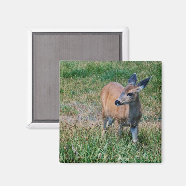 Hirsch Magnet (Vorderseite/Rückseite)