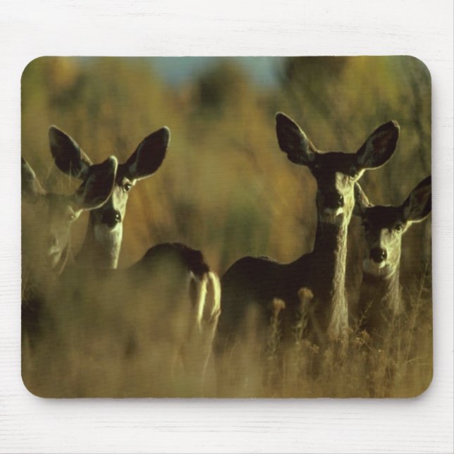 Hirsch Mousepad (Vorne)
