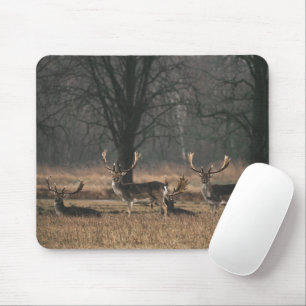 Hirsch Mousepad
