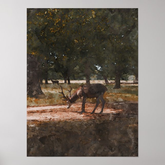 Hirsch Poster (Vorne)