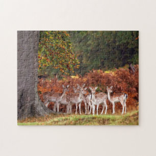 Hirsch-Spiel-Puzzle Puzzle