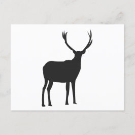 Hirsch Süße Geweihe Postkarte