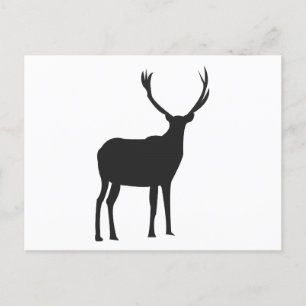 Hirsch Süße Geweihe Postkarte