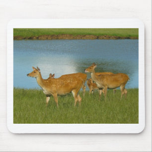 Hirsch Tier Natur Frieden Liebe Schicksal Spaß Kun Mousepad