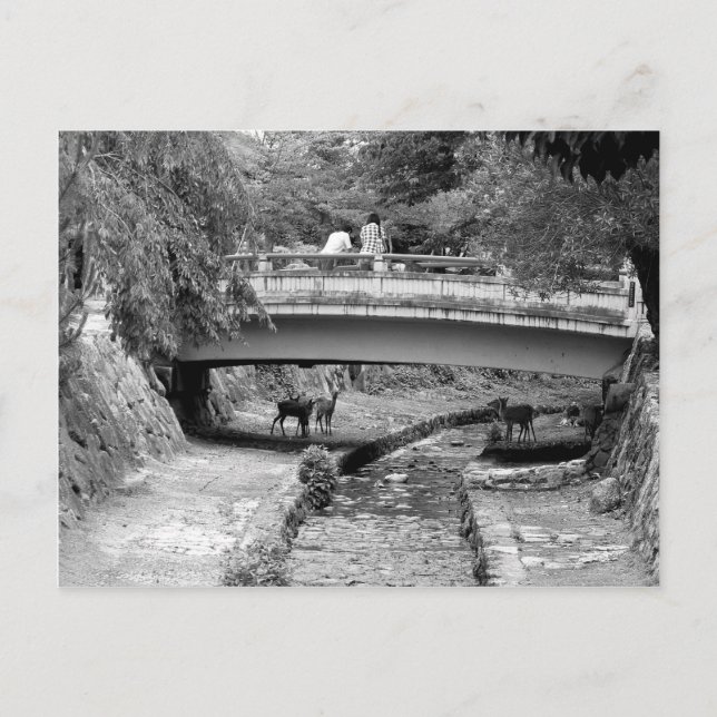 Hirsch unter einer japanischen Brücke Postkarte (Vorderseite)