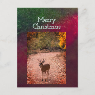 Hirsch-Weihnachtspostkarte Postkarte