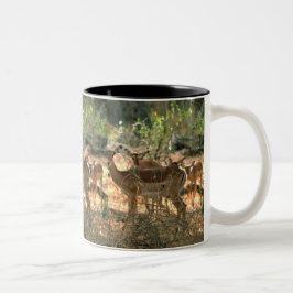 Hirsch Zweifarbige Tasse