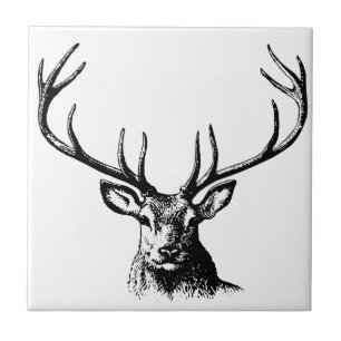 Hirschantler Natur Wildtierhorns Kopfkissen Fliese