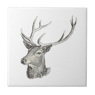 Hirschbuck Kopf mit Antlern Schwarz und Weiß Kunst Fliese