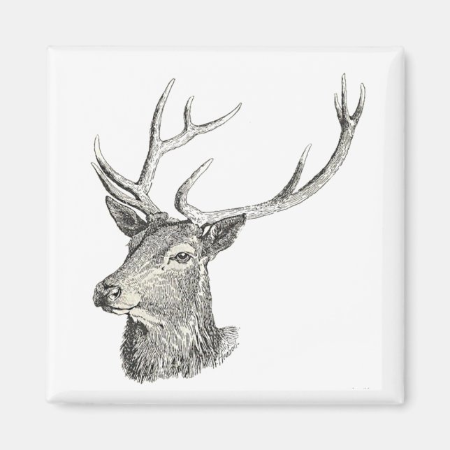 Hirschbuck Kopf mit Antlern Schwarz und Weiß Kunst Magnet (Vorne)