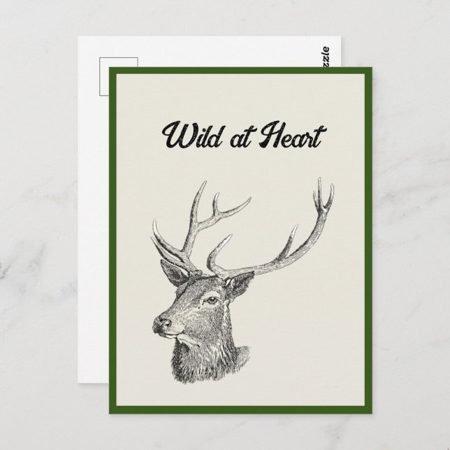 Hirschbuck Kopf mit Antlern Schwarz und Weiß Kunst Postkarte (Vorne/Hinten)