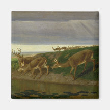 Hirsche an der Prärie (von William Holbrook Beard)