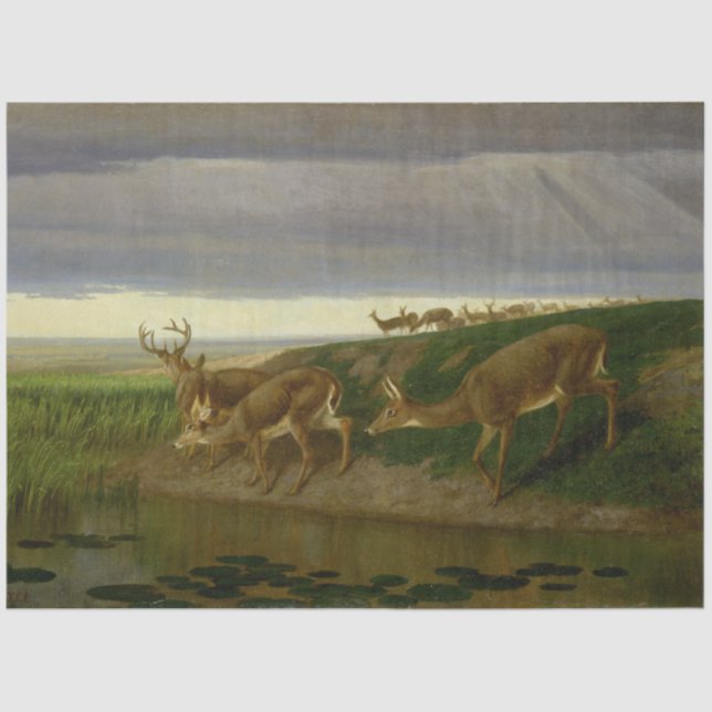 Hirsche an der Prärie (von William Holbrook Beard) Seidenpapier (Vorderseite)