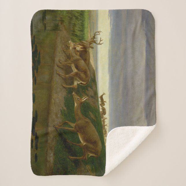 Hirsche an der Prärie (von William Holbrook Beard) Sherpadecke (Vorderseite)