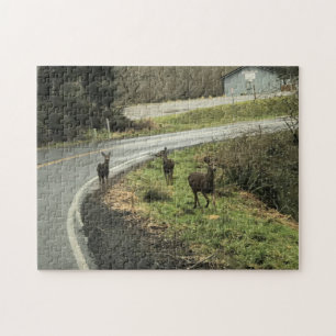 Hirsche auf der Straße, Cape Enttäuschung, WA Puzzle