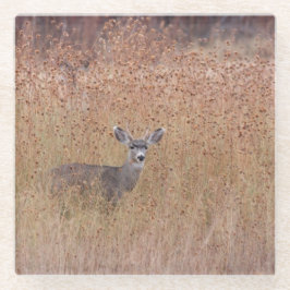 Hirsche auf der Wiese Glasuntersetzer