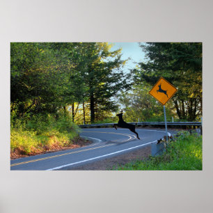 Hirsche aufpassen poster