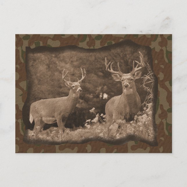 Hirsche Camouflage Postkarte (Vorderseite)