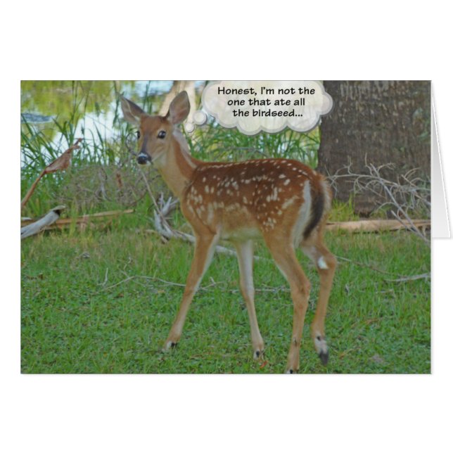 Hirsche, die über Vogelsamen nachdenken (Vorderseite (Horizontal))