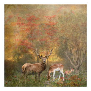 Hirsche im herbstlichen Waldteppich Fotodruck