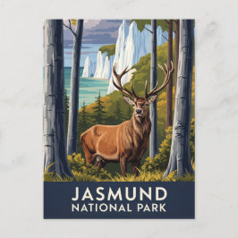 Hirsche im Jasmund Nationalpark Deutschland Reisen Postkarte