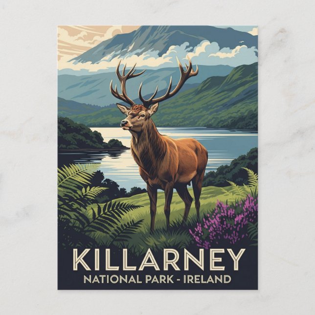 Hirsche im Killarney National Park Irland Travel Postkarte (Vorderseite)