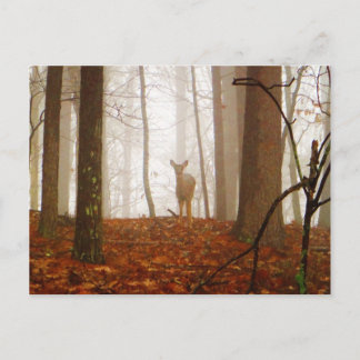 Hirsche im Mist Postkarte